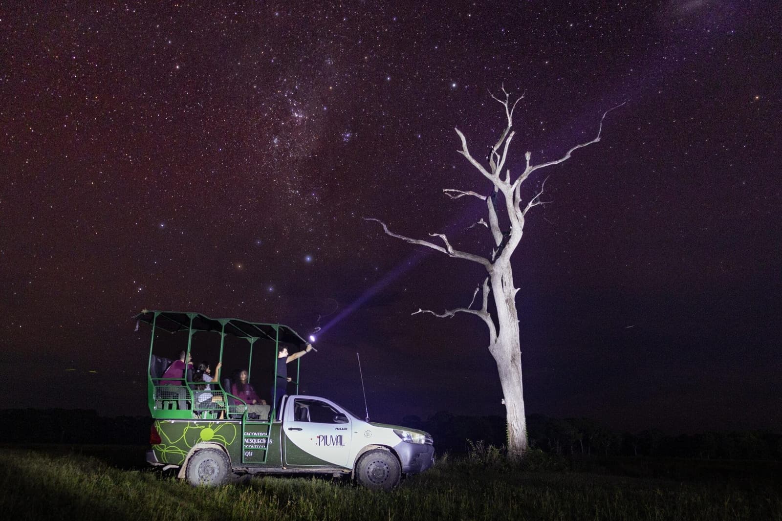 The spotlight finds the dark; the stars do the rest. A group of ecotourists aboard an open 4x4 safari vehicle on a Pantanal Tour from Cuiabá, with a guide pointing a spotlight beam toward a bare white tree under a brilliant Milky Way sky