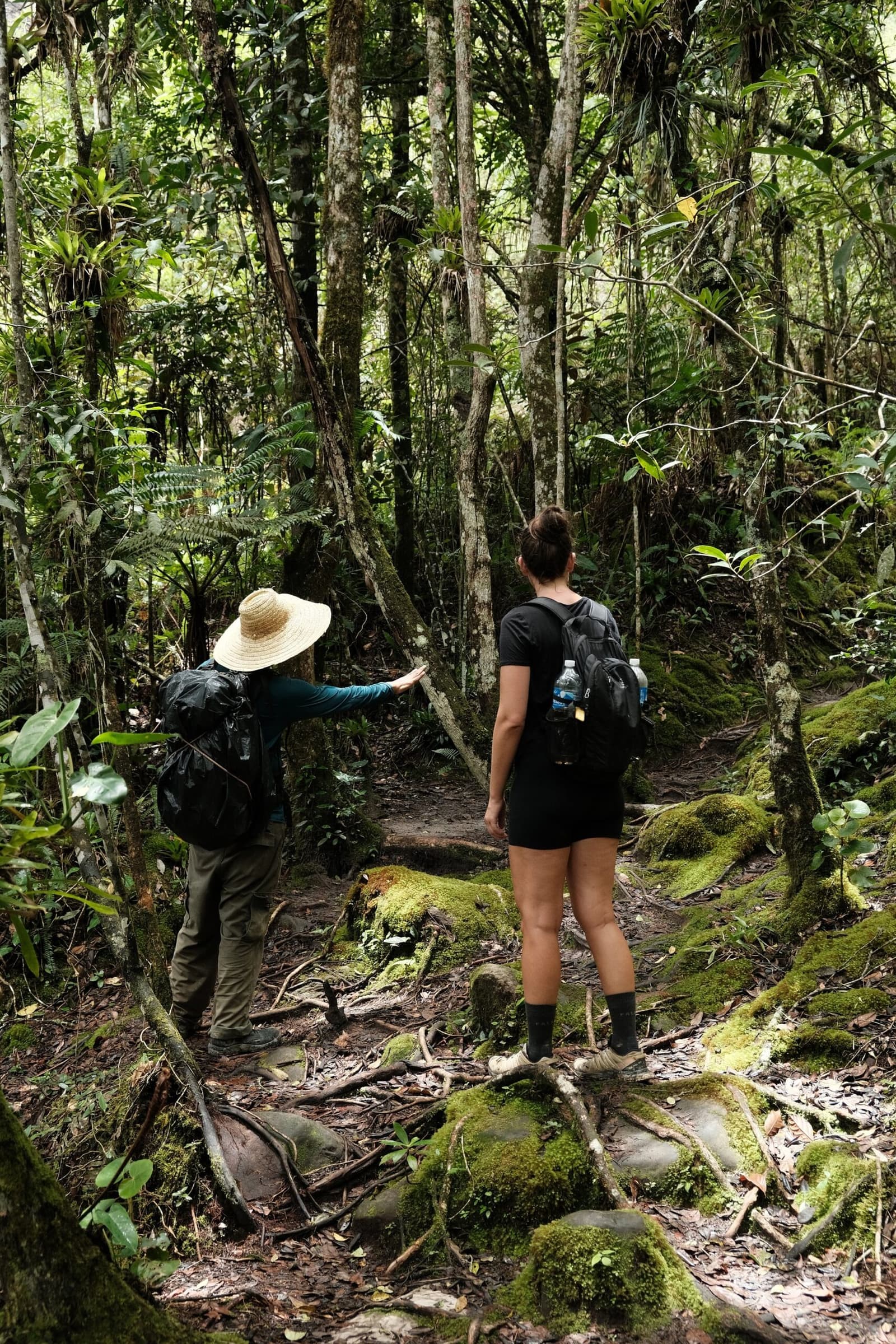Good guides don't just lead the way, they make you actually see it. A guide in a straw hat points ahead along a mossy, root-laced trail during a Pati Valley hike, while a traveller with a backpack looks into the dense green forest