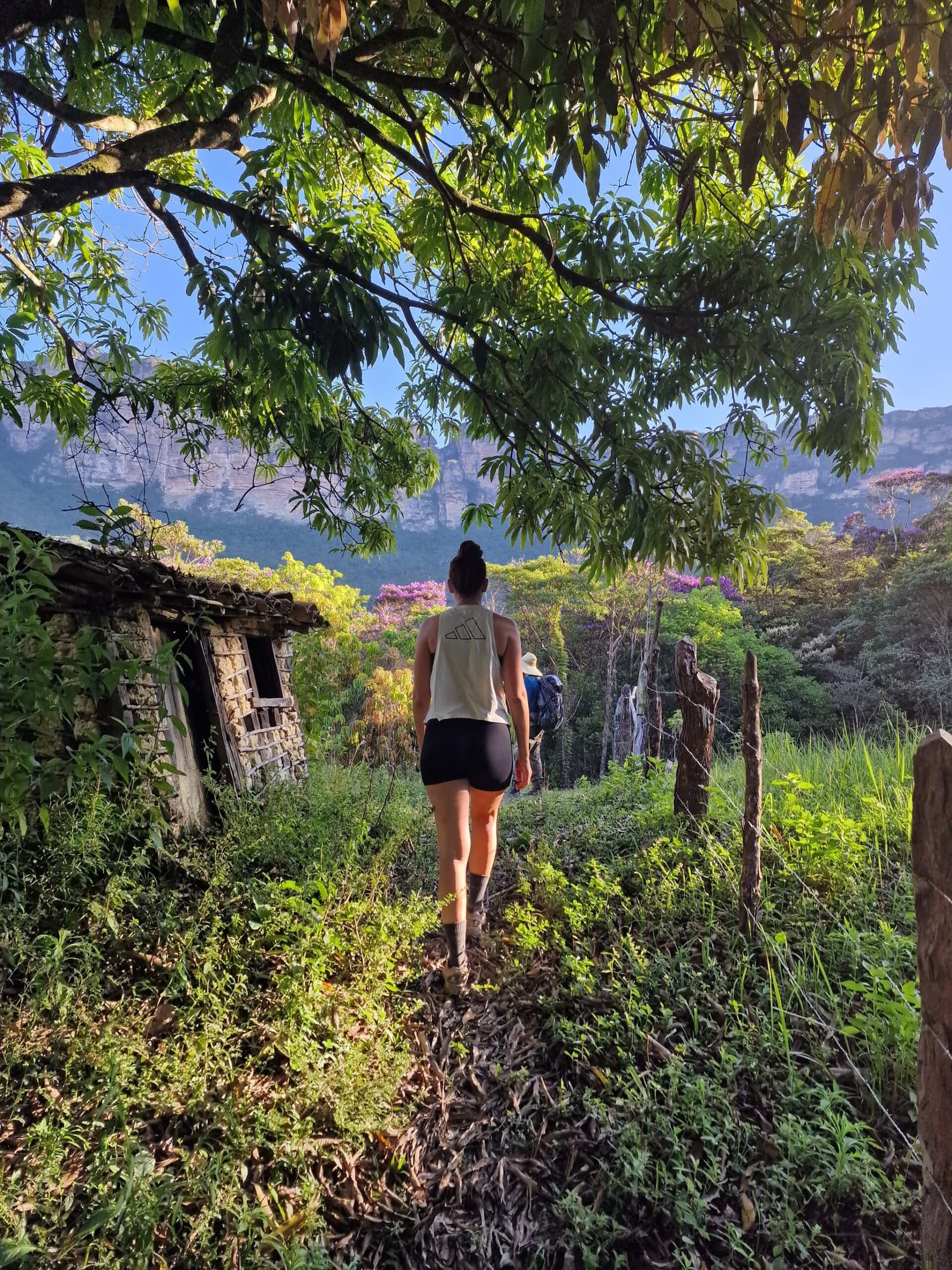 Old walls, new steps, the Pati Valley keeps its stories close. A hiker walks past a crumbling stone ruin on the Pati Valley hike, with pink-flowering trees and dramatic sandstone cliffs rising through the green canopy ahead