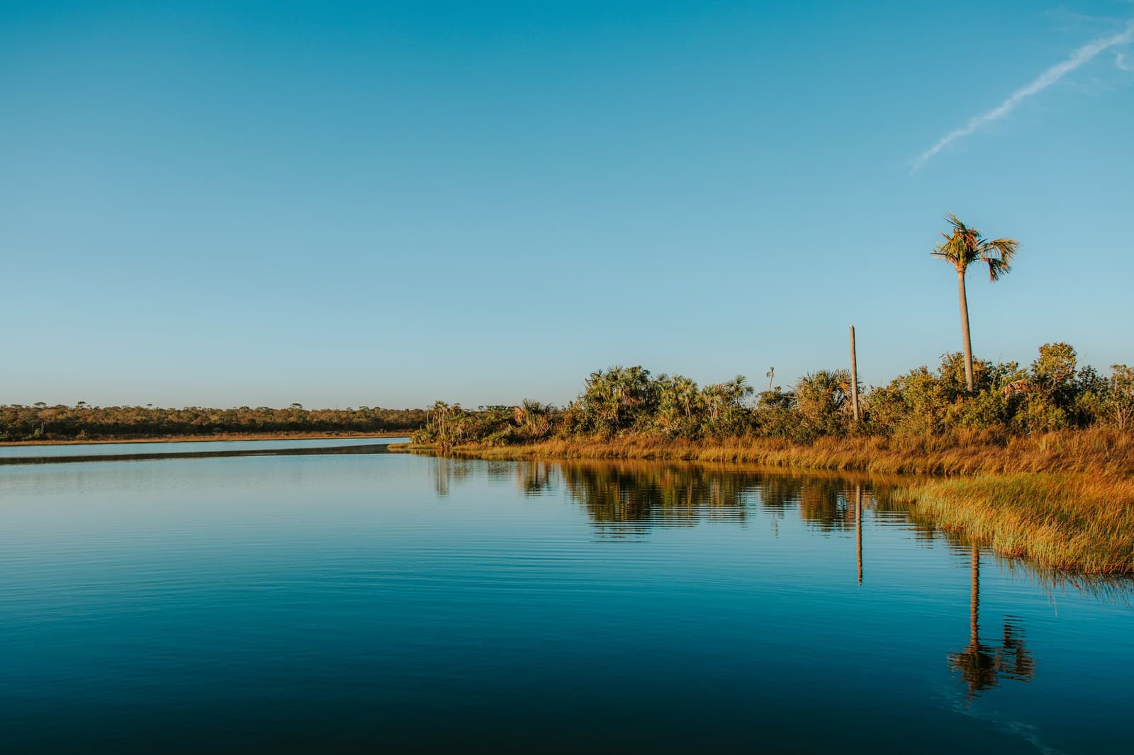 That quiet moment when the water holds the whole landscape still. Still waters of Lagoa das Araras at Pousada Trijunção reflecting a tall palm tree and golden marsh grasses under a clear blue sky