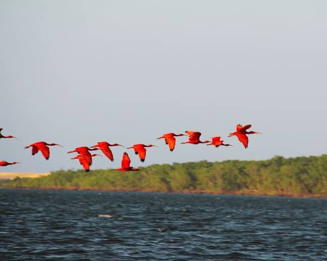 Route of Emotions in Brazil: itinerary, map, and best time to visit in 2026