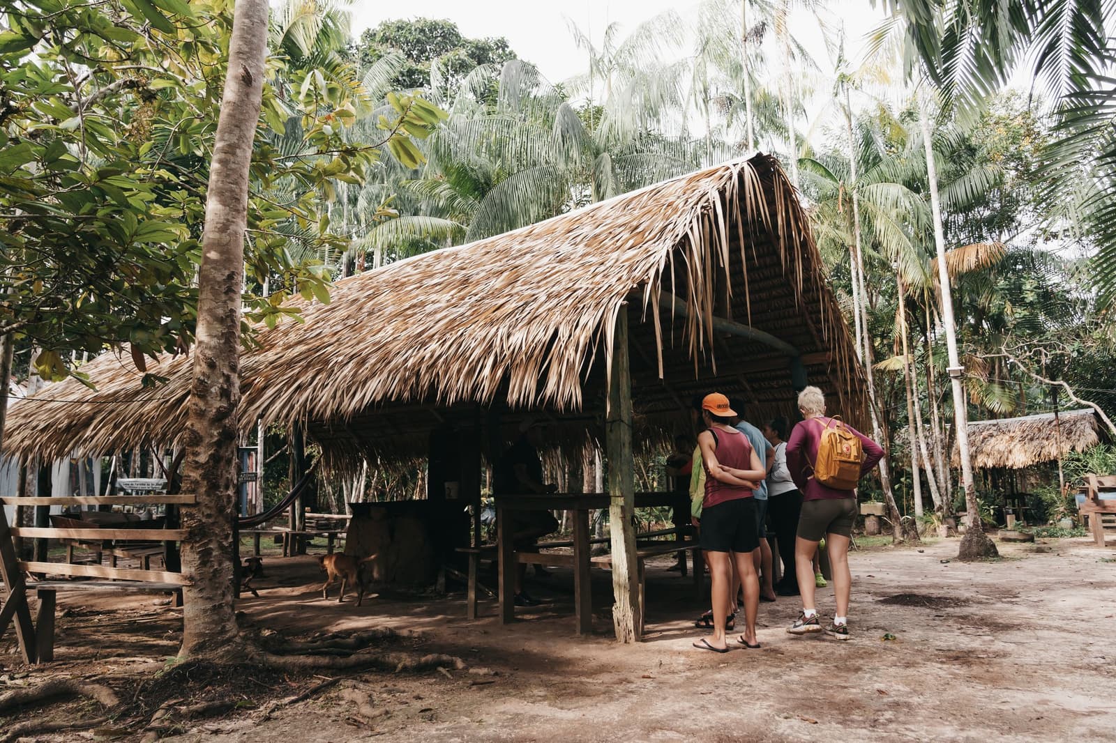 A local community that actually lives here, not a set. Small group of ecotourists gathered at the entrance of a traditional palm-thatched open hut surrounded by tall palms and tropical forest, during an untamed amazon cruise community visit