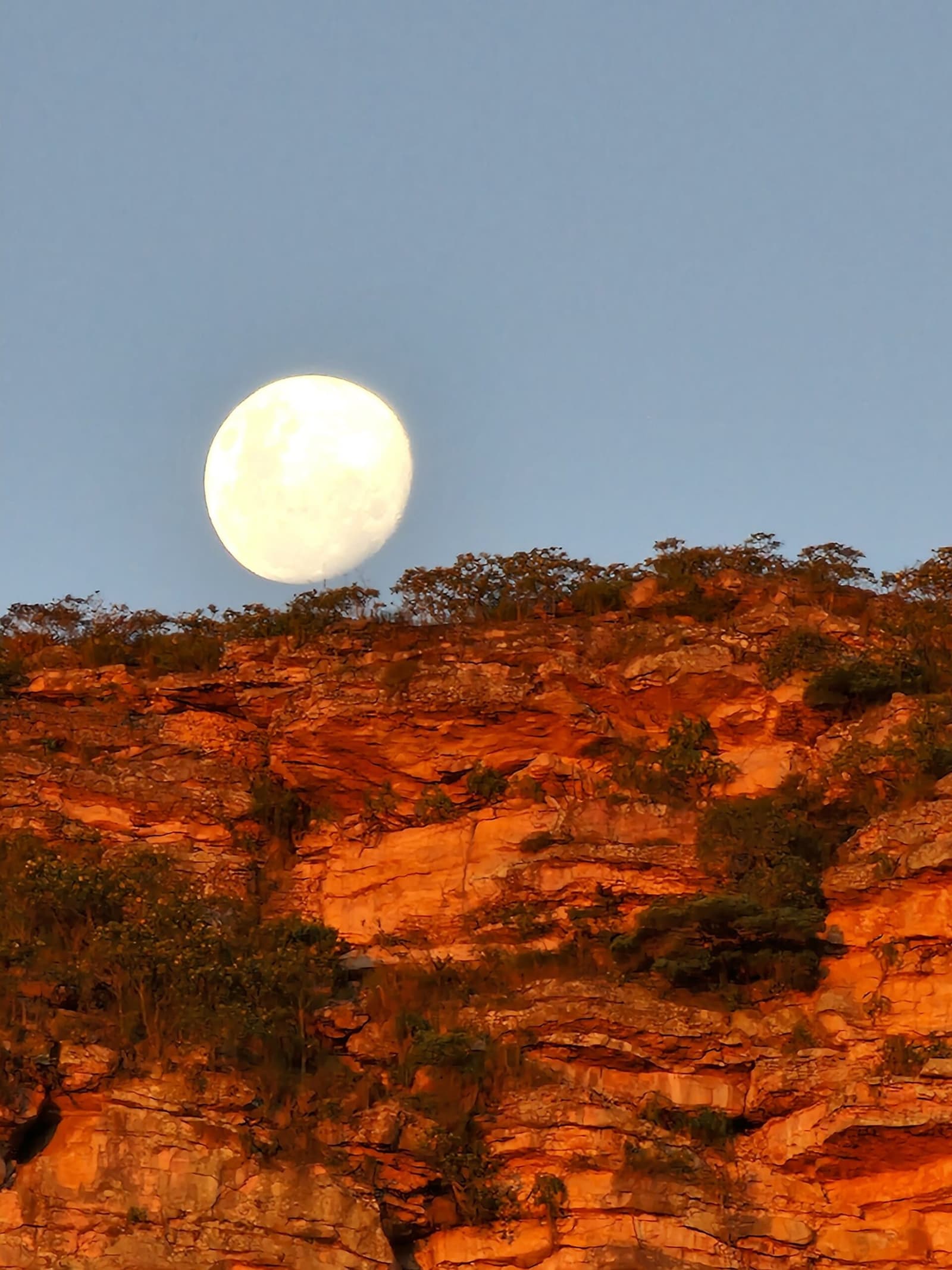 The kind of moonrise that makes you forget what you were saying. A near-full moon rising above warm red sandstone cliffs dotted with scrub vegetation on the Vale do Pati Trek, under a clear blue twilight sky
