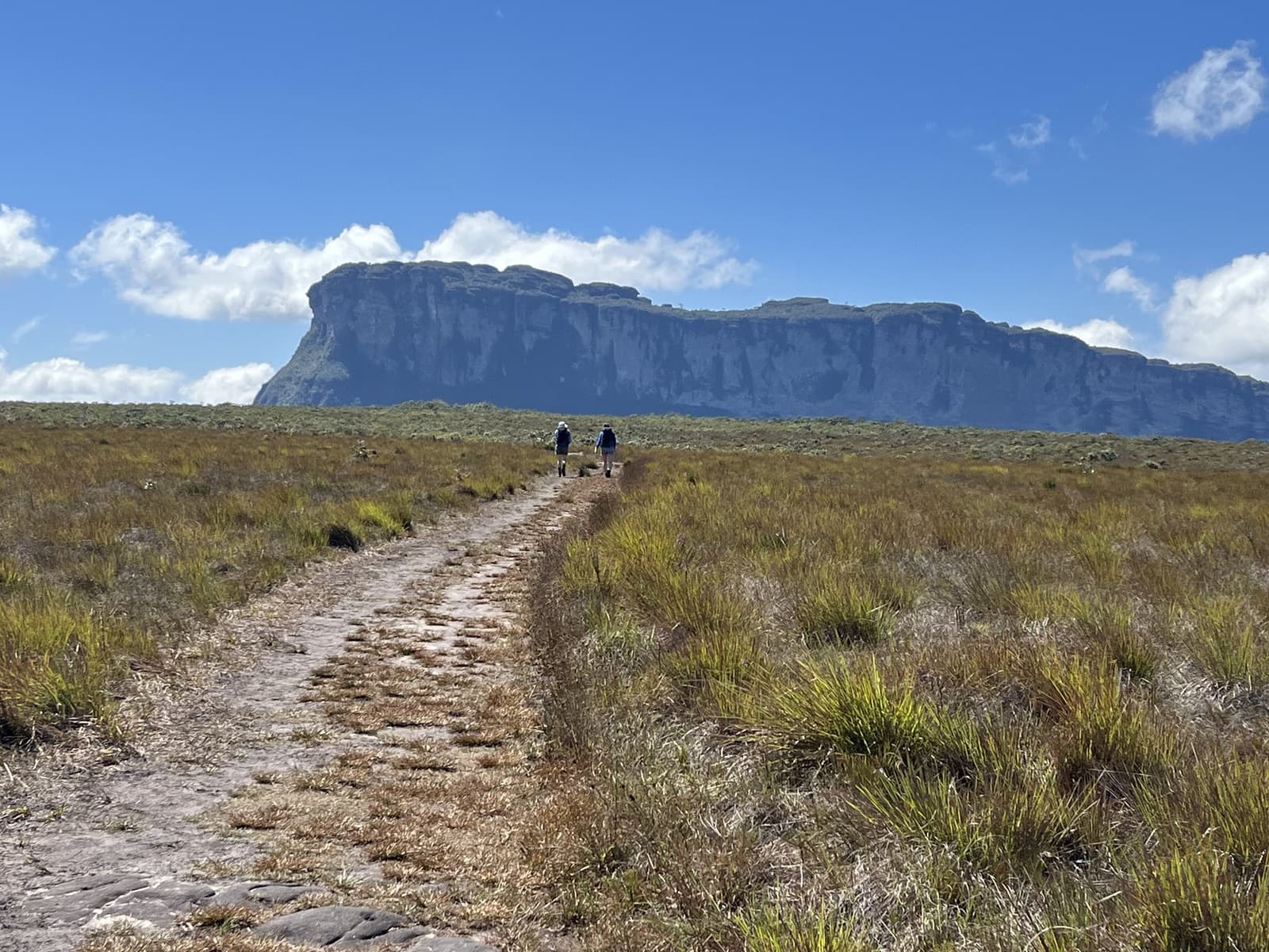 The plateau keeps its distance just long enough to make you earn it. Two hikers walk a rocky trail across open savanna grassland on the Vale do Pati Trek, with a massive flat-topped sandstone mesa rising under a blue sky