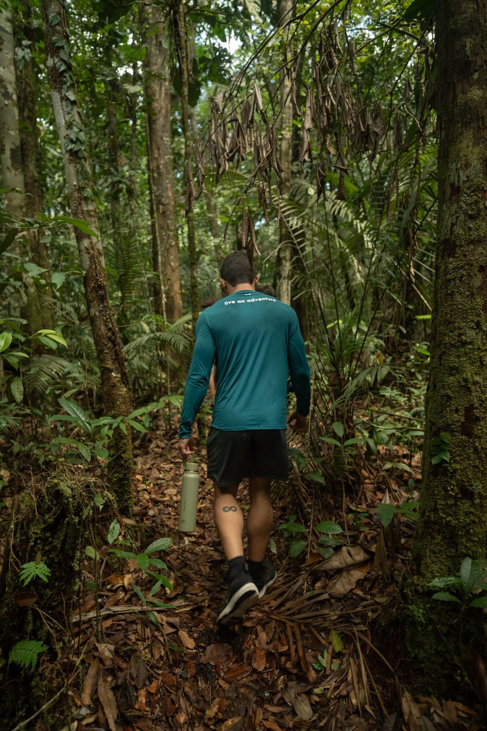 Some trails don't need a destination, just enough forest to keep going. A hiker in a teal long-sleeve shirt walks away from the camera along a narrow rainforest trail, carrying a water bottle, surrounded by tall trees, ferns, and leaf-covered ground on an amazon and pantanal tour