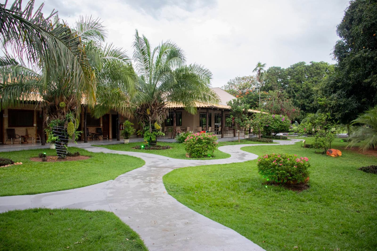 Paths that curve for a reason, the wildlife starts right outside the gate. Winding concrete pathway through a lush garden leading to a low ranch-style lodge with thatched roofs and palm trees, part of an amazon and pantanal tour itinerary