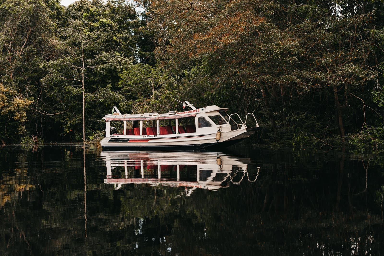 Your ride is ready, and the forest has been waiting. A white passenger boat named Princesa Naylane II with red seats moored on dark blackwater, reflected perfectly on the still surface, surrounded by dense Amazon rainforest canopy — part of an amazon river cruise experience in Brazil.
