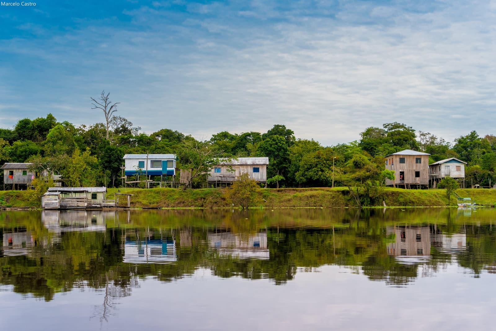 Life here is built on stilts, adapted to a river that rewrites the rules every season. Wooden stilt houses lining the Amazon riverbank reflect in calm dark water, surrounded by dense rainforest canopy, on an amazon rainforest ecolodge trip in brazil