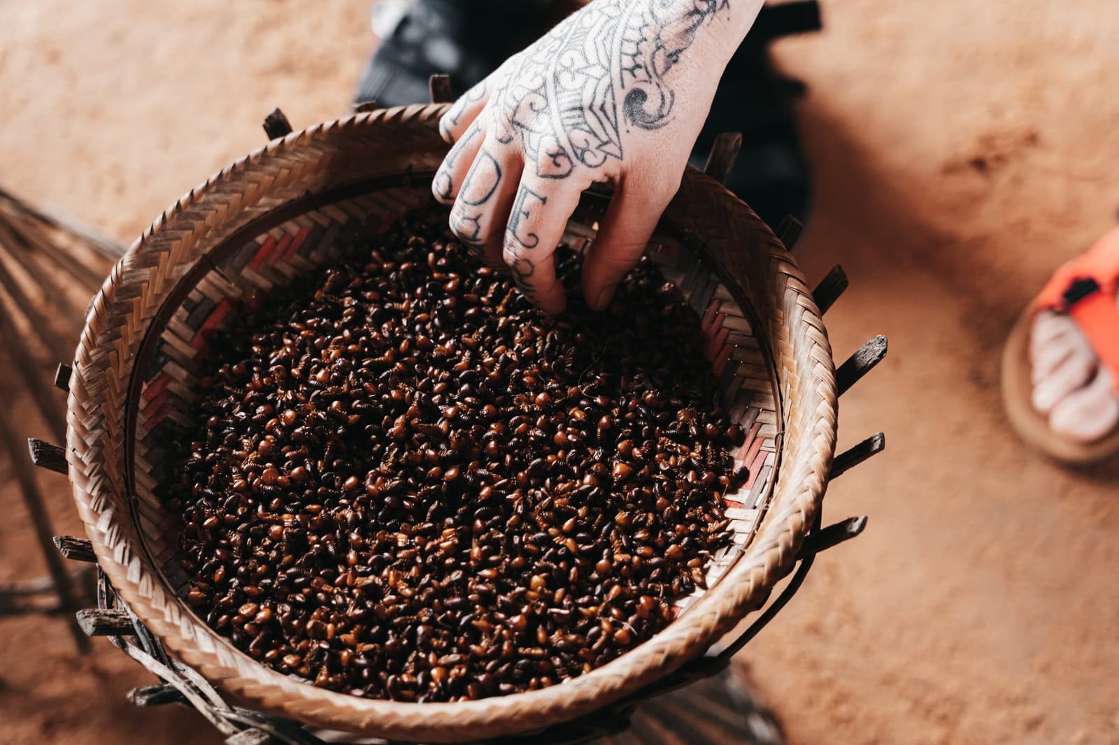 A traditional snack that takes a little courage and tastes better than you expect. A tattooed hand reaches into a wide woven basket filled with small roasted insects, part of a traditional food experience on a luxury Amazon cruise in Brazil