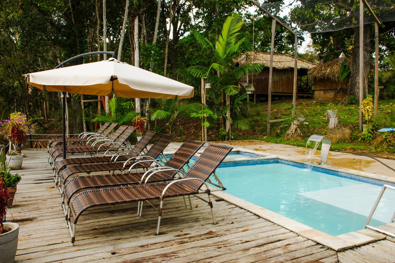 Cold water, shady deck, tall trees all around. The forest can wait ten minutes. Wicker sun loungers lined up on a wooden deck beside a small swimming pool with a waterfall feature, surrounded by dense tropical forest and a thatched-roof structure at an amazon and pantanal tour jungle lodge