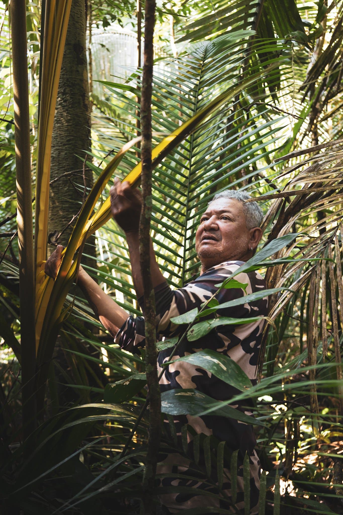 He reads the forest the way most people read a map, and faster. An elder local guide with grey hair works with a yellow palm frond deep in a lush rainforest understorey on an amazon and pantanal tour