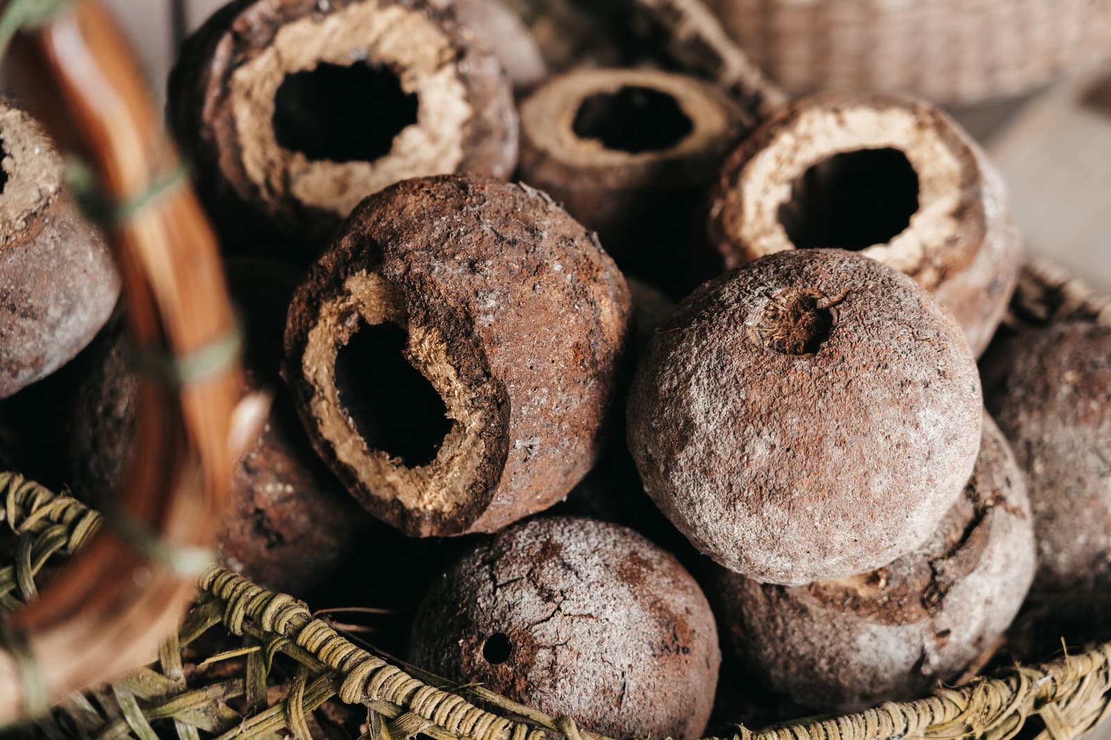 Centuries of forest knowledge, sitting quietly in a basket. A woven basket filled with hollow dried seed pods, their rough brown exteriors and open centres revealing the fibrous inner walls, seen on a luxury amazon cruise in brazil.