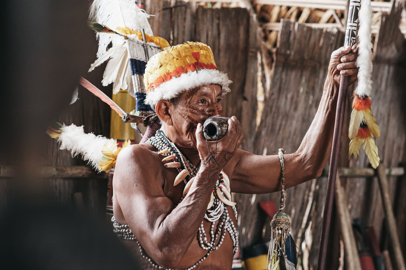 Generations of knowledge in a single breath. An indigenous elder wearing a feathered headdress and bone necklaces blows into a small gourd instrument during a community ceremony on a luxury Amazon cruise in Brazil, holding a decorated ceremonial staff in a thatched-wall dwelling.