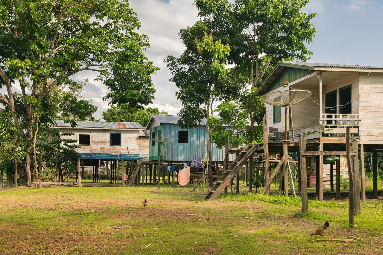 Chickens, satellite dishes, and stilts that tell the whole story of flood-season life. Photo: Guilherme Gomes Wooden stilt houses with corrugated roofs in a riverside Amazon community, laundry hanging beneath one porch and chickens roaming the grass, typical of the communities connected to an amazon rainforest ecolodge trip in brazil