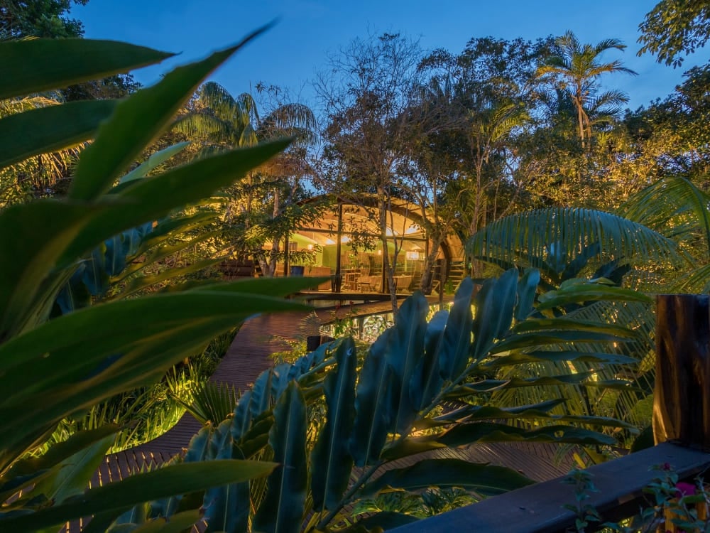 A warmly lit Amazon ecolodge pavilion glimpsed through tropical foliage at dusk.