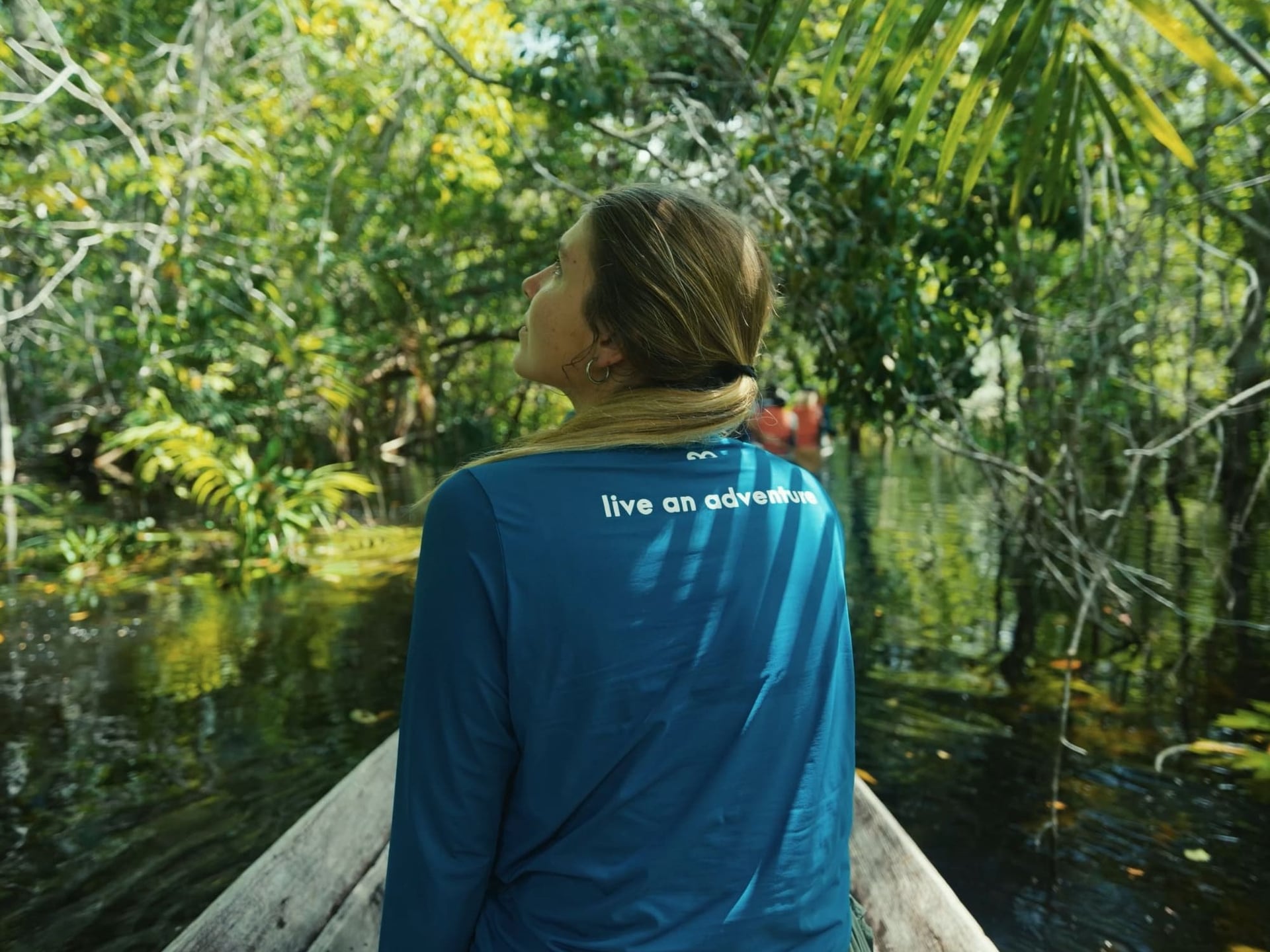 Traveler in a wooden canoe gazing up at the flooded rainforest canopy on an Amazon adventure Traveler in a wooden canoe gazing up at the flooded rainforest canopy on an Amazon adventure