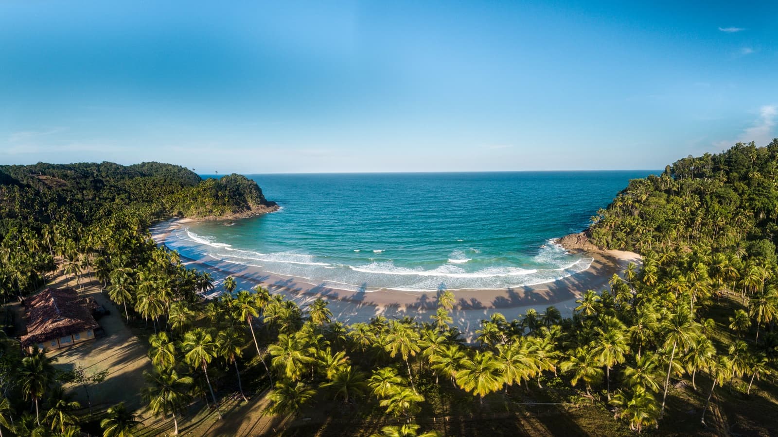 A bay so perfectly curved it looks drawn by hand. Aerial view of a crescent-shaped beach enclosed by dense coconut palms and Atlantic forest, with turquoise waves rolling onto golden sand near the itacaré surf school coast