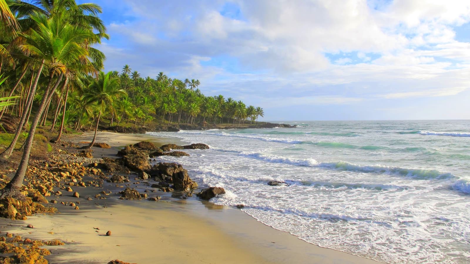 No crowds, no footprints, just the Atlantic making up its mind. Photo: Picasa A wild sandy shore at an itacaré surf school destination, lined with leaning coconut palms and scattered rocks, with turquoise waves breaking along the coastline under a partly cloudy sky