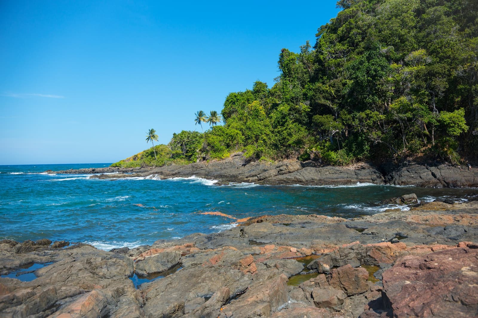 Rough rock, warm water, forest to the edge, this coast keeps its wild side. Rocky tidal shelf and a sheltered cove along the Itacaré surf school coastline, with dense Atlantic Forest and palm trees crowning a jutting headland under a clear blue sky