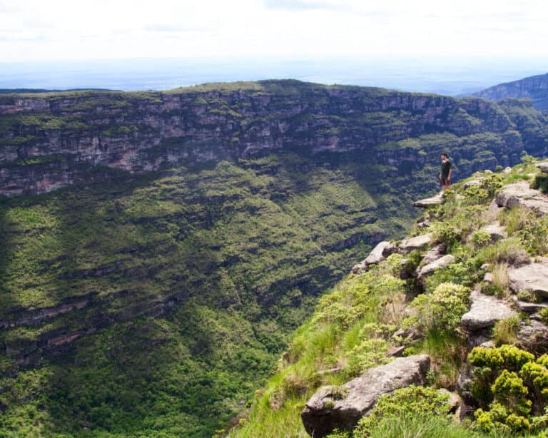 A hiker standing at the edge of a cliff overlooking a green valley in Chapada Diamantina, Brazil.