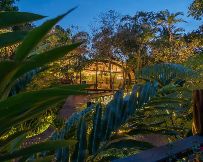 Mirante do Gavião Amazon Lodge restaurant glowing over the Rio Negro jungle at dusk