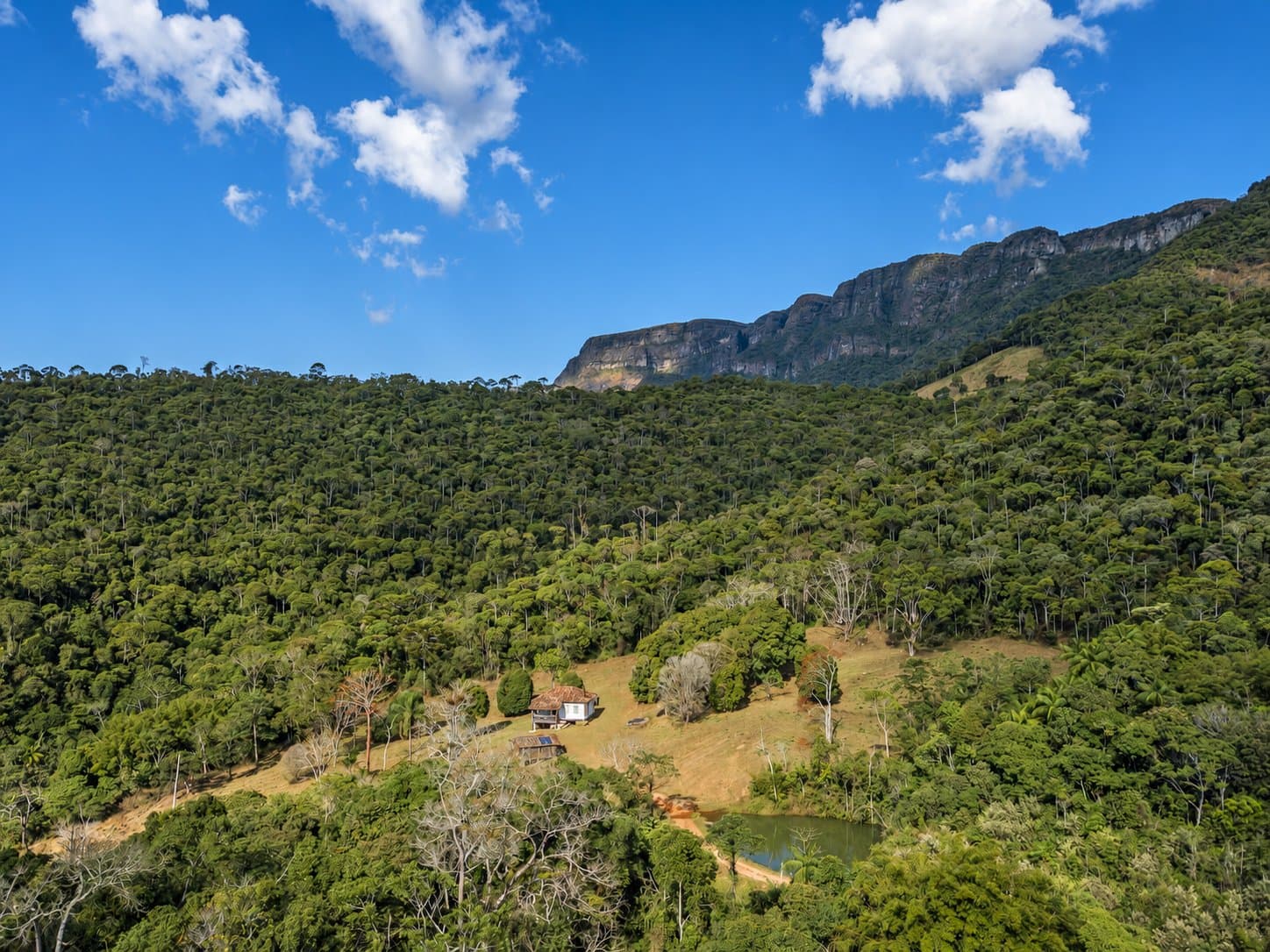 Six thousand hectares, one tiny house. Scale has a way of putting things in perspective. Aerial view of a small white farmhouse and pond nestled in a dense Atlantic forest valley at the Ibiti Project, with dramatic flat-topped rock escarpments rising above the tree canopy under a blue sky