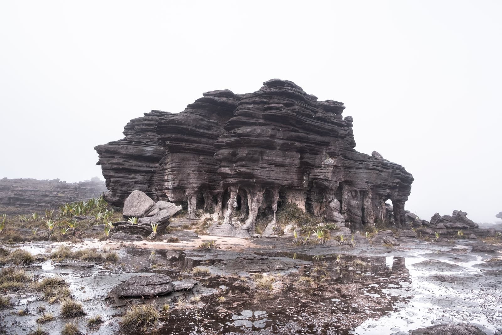 Two billion years of geology, and the fog still has opinions about it. A massive layered sandstone rock formation rises from the waterlogged tepui plateau during a mount roraima expedition, surrounded by mist, puddles, and sparse endemic plants growing from the ancient stone