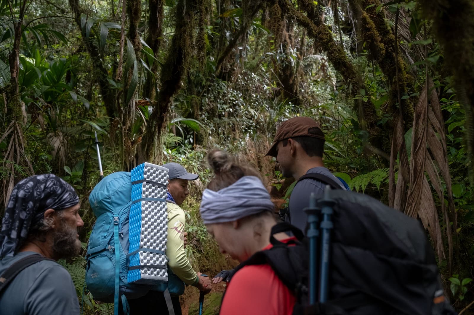 Mid-trail, mid-thought, the forest always picks the best moment to make you stop. A group of four hikers with loaded backpacks and trekking poles pauses on a narrow trail during a mount roraima expedition, surrounded by moss-covered trees and dense Atlantic-style cloud forest vegetation