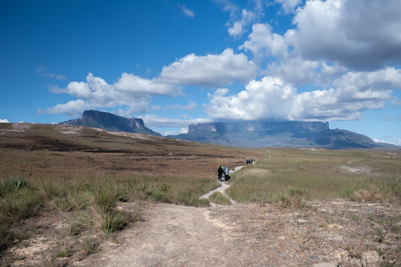 Small figures, enormous tepuis, the scale settles in fast out here. A group of trekkers follows a narrow dirt trail across open Gran Sabana grassland on a mount roraima expedition, with two flat-topped tepuis rising sharply against a blue sky with large white clouds in the background