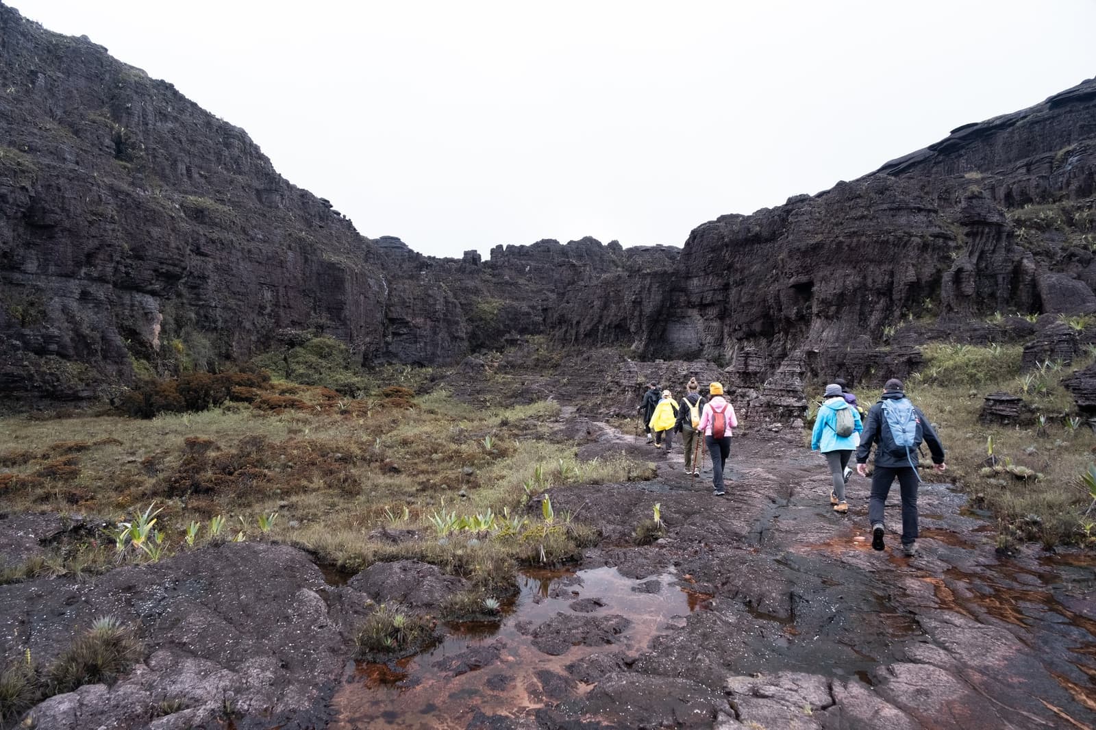 Rain-soaked rock, colorful jackets, and walls that have been here longer than most things on the planet. A group of trekkers on a mount roraima expedition picks their way across wet black rock slabs toward towering dark canyon walls on the tepui plateau, surrounded by low endemic vegetation and shallow puddles