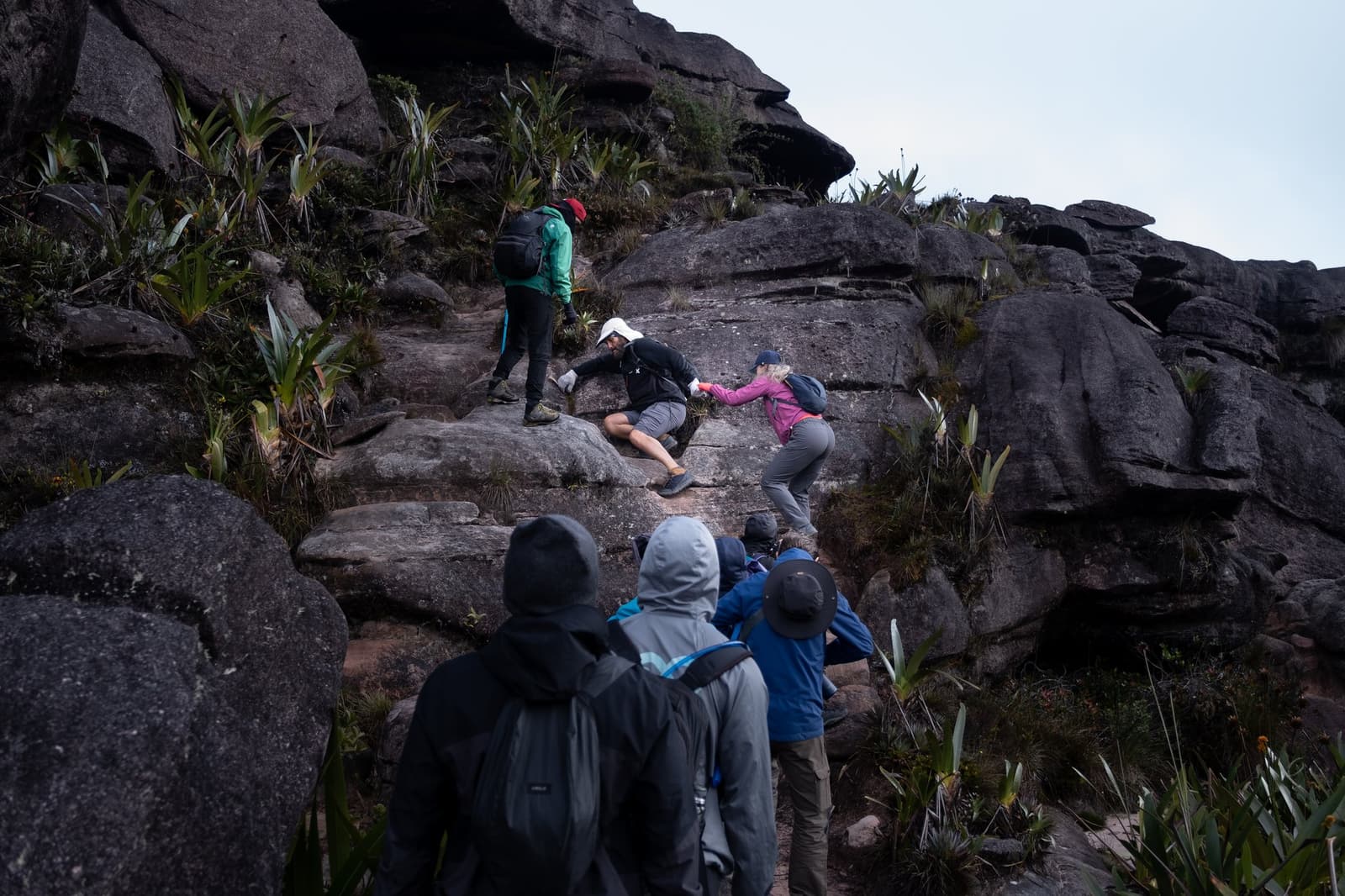 Nobody said the mountain was a staircase, but the group figures it out together. A group of trekkers on a mount roraima expedition scrambles up a steep, layered granite rock face surrounded by bromeliad plants, with one hiker helping another navigate a difficult step