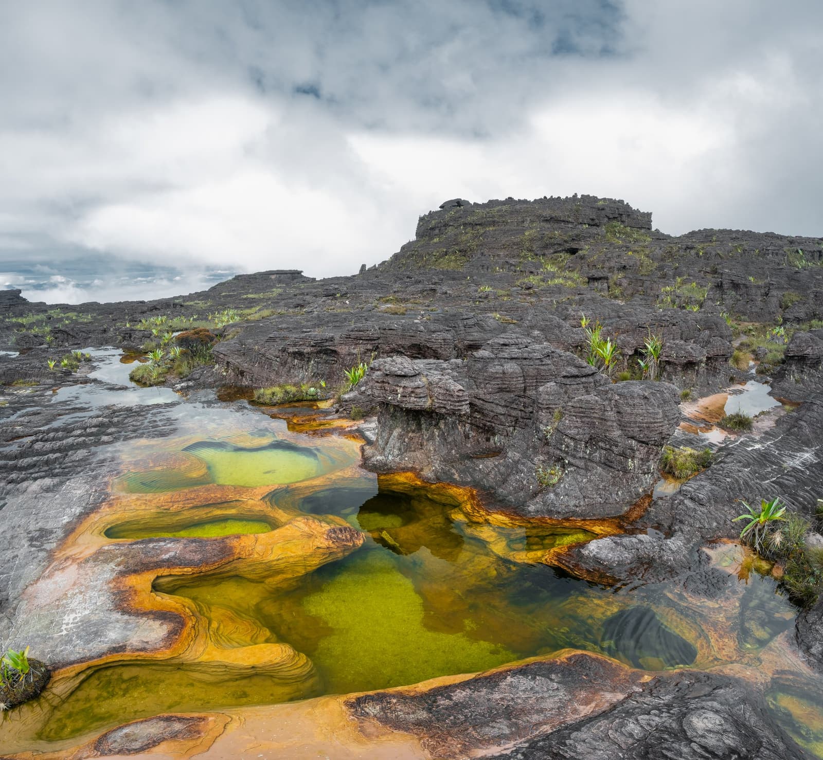 Geology doing its best abstract art, right under your boots. Swirling natural rock pools with vivid green and amber-stained water on the ancient sandstone plateau of the mount roraima expedition, with eroded black tepui formations and low clouds in the background