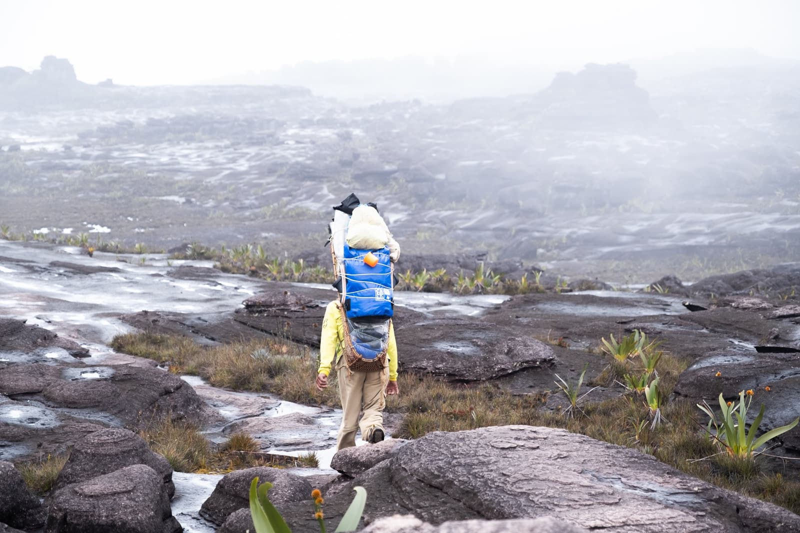 The mountain moves on porter time, not yours. A porter carrying a large blue pack and woven basket walks across the wet, dark rocky plateau of Mount Roraima during a mount roraima expedition, with bromeliad-like plants dotting the terrain and thick mist obscuring the distant rock formations