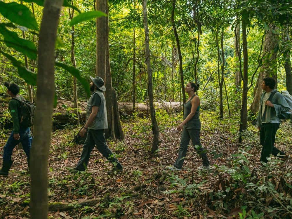 Photo: Gui Gomes Guide leading travelers along a forest trail in the Amazon Rainforest in Brazil