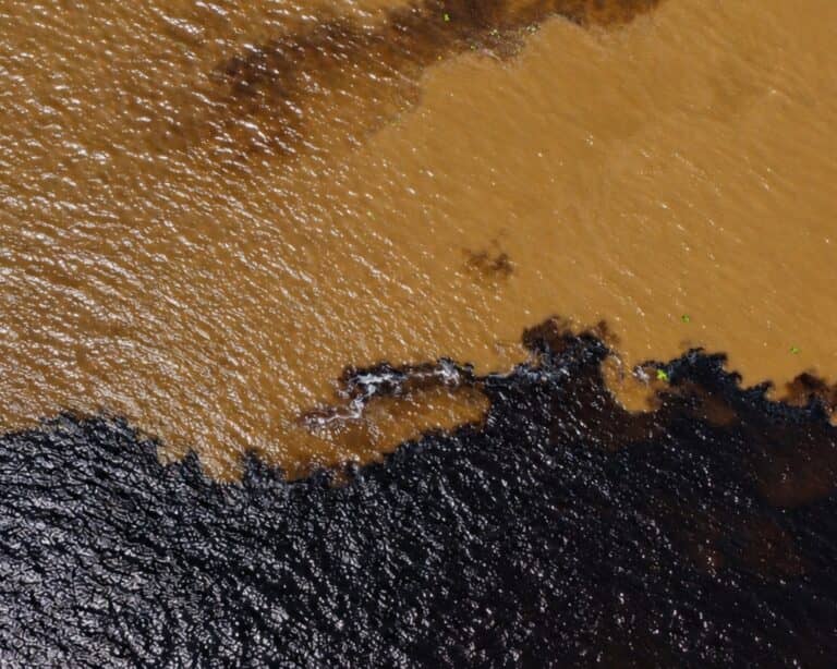 Aerial view of the Meeting of Waters near Manaus, where the dark Rio Negro meets the sandy-brown Solimões River