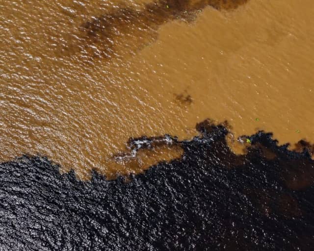 Aerial view of the Meeting of Waters near Manaus, where the dark Rio Negro meets the sandy-brown Solimões River
