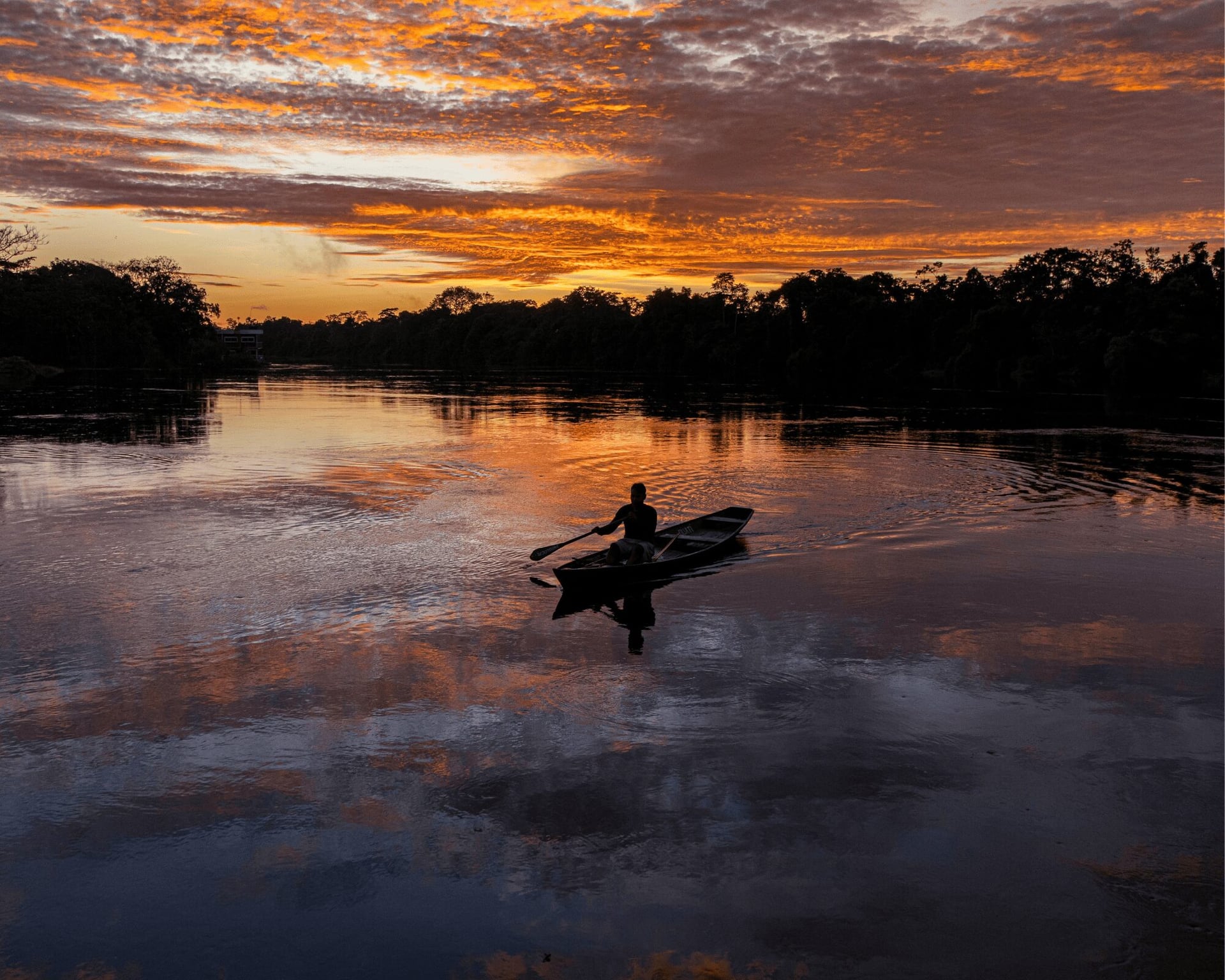 10 Tips to Make the Most of Your Amazon Tour From Manaus, Brazil 10 Tips to Make the Most of Your Amazon Tour From Manaus, Brazil