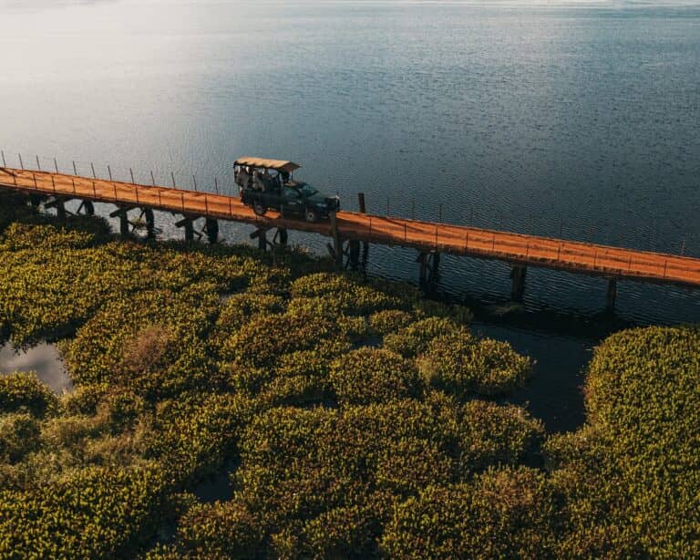 Open safari vehicle crossing a wooden bridge over the bay at Caiman Ecological Refuge in the South Pantanal