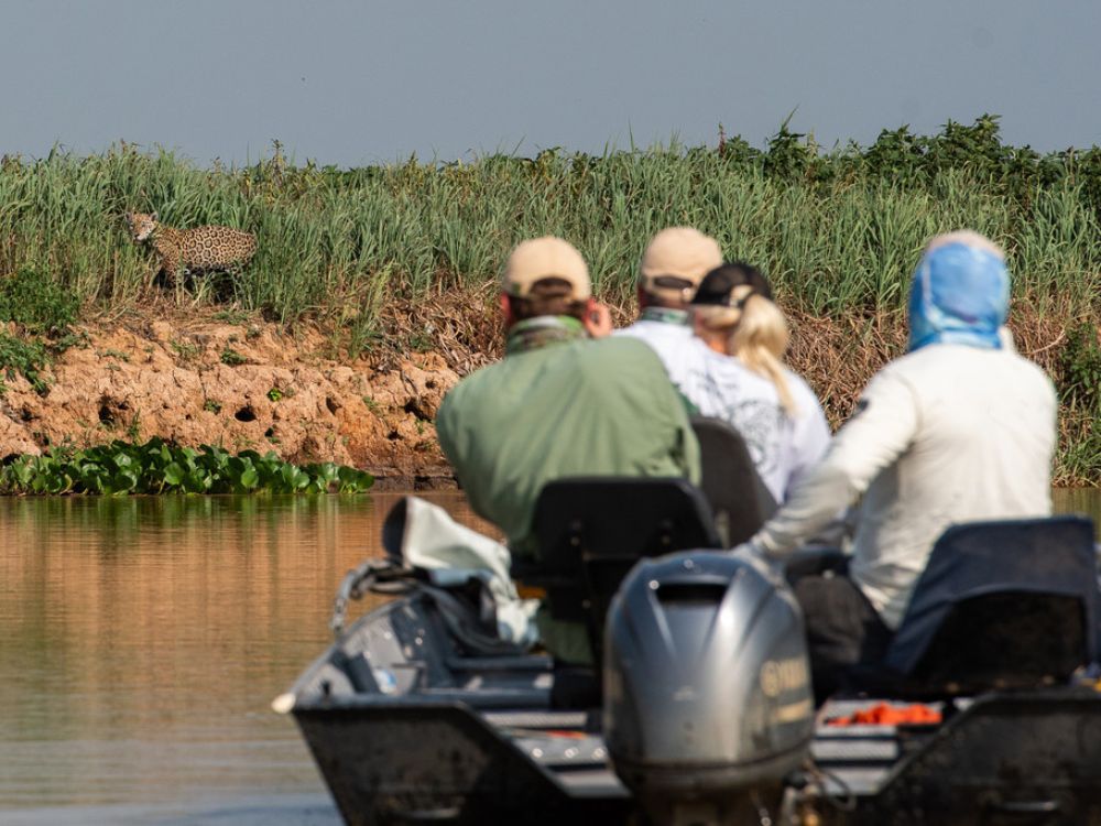 Pantanal Guides