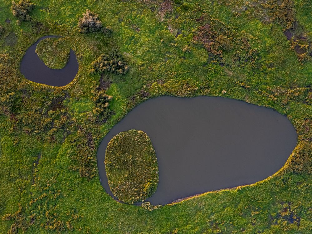 Pantanal Photography Tour 