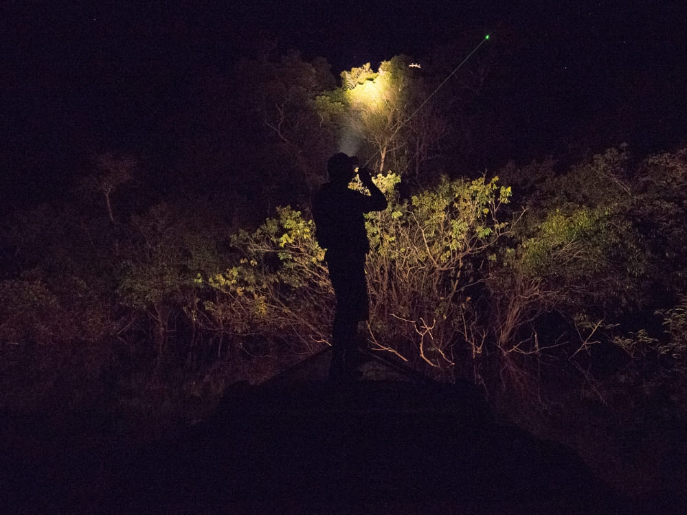 Anavilhanas Jungle Lodge Brazil - Night Tour