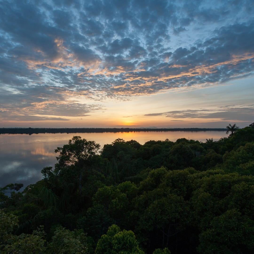 Rio Negro - View From Anavilhanas Jungle Lodge Towerview