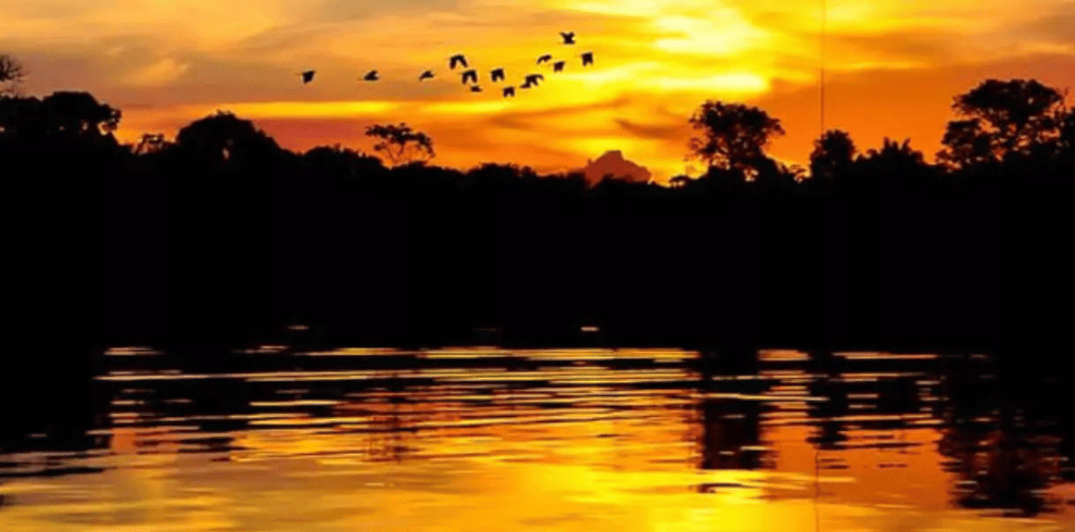 Amazon Adventure Tours – Mamori River
