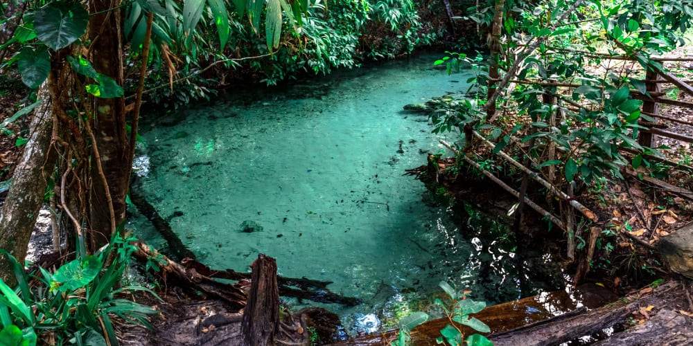 A pristine turquoise river flows through dense tropical greenery and wooden fencing in Jalapão State Park.