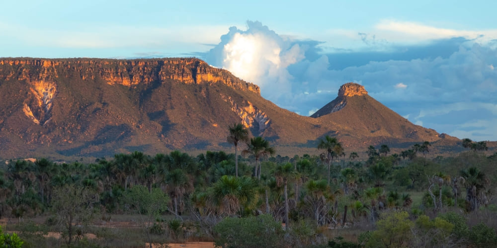 Two sandstone plateaus rise above the palm-dotted Cerrado landscape in Tocantins at dusk.
