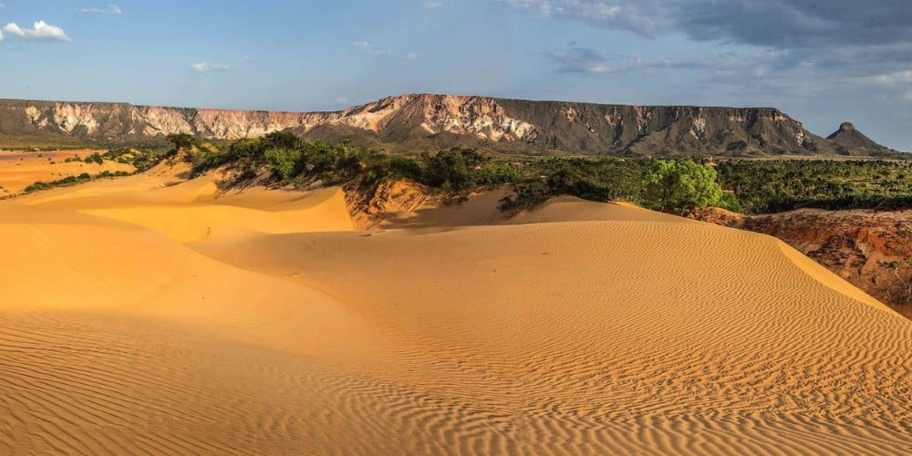 Golden sand dunes under a blue sky, backed by the dramatic mountain ranges of Jalapão, Tocantins.