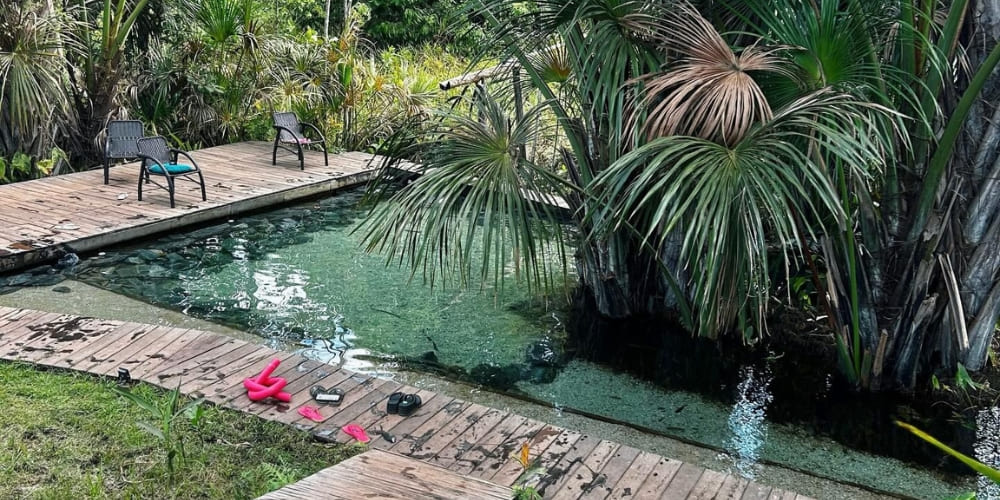 A clear natural pool surrounded by a wooden deck and native palm trees at a Jalapão guesthouse.