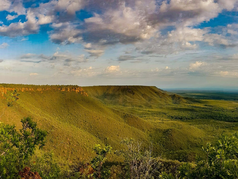  Expansive view of the Serra do Espírito Santo plateau towering over the green Jalapão landscape.
