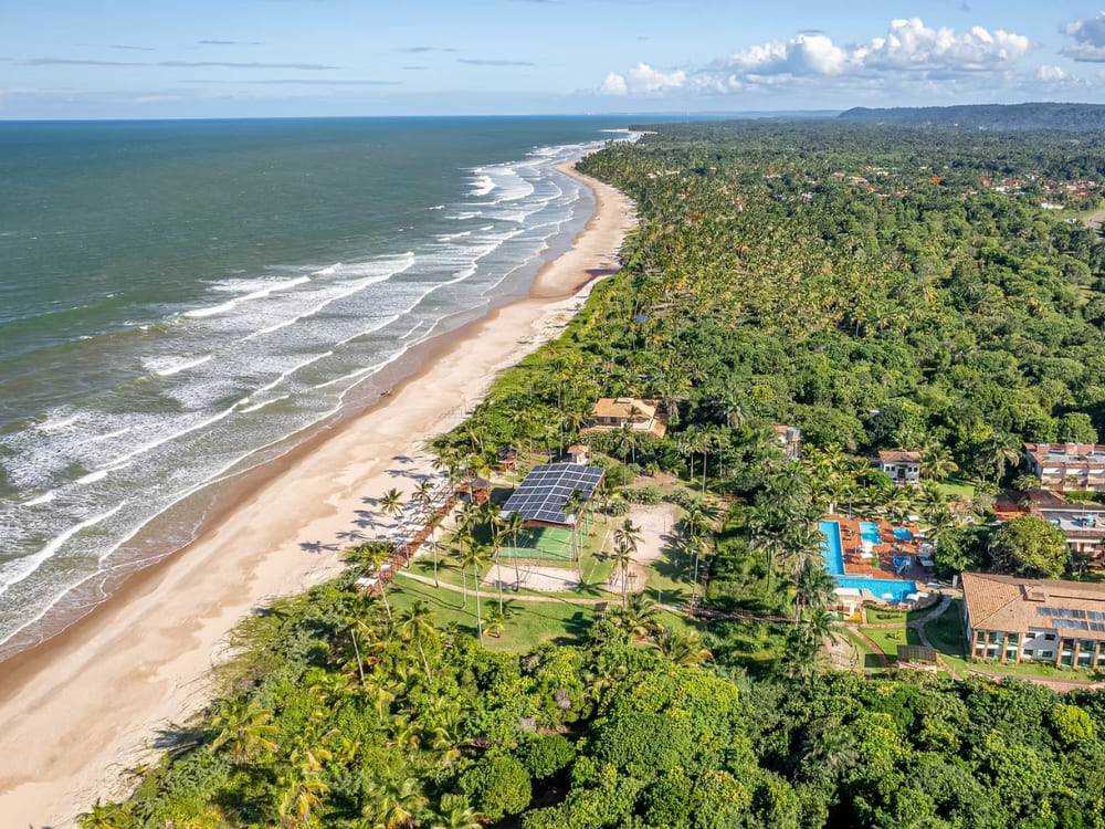  An aerial shot captures a beachfront resort complex with a large swimming pool, surrounded by expansive green forests and a sandy beach.