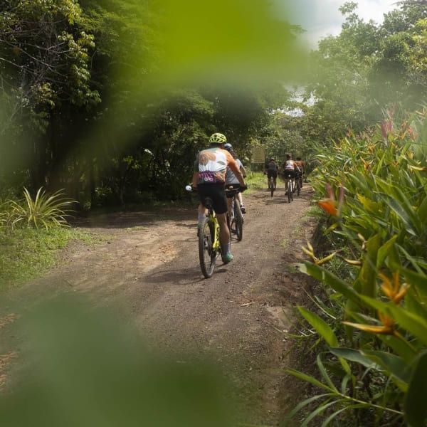 A group of cyclists pedals along an immersive dirt trail surrounded by the dense greenery of the Atlantic Forest.
